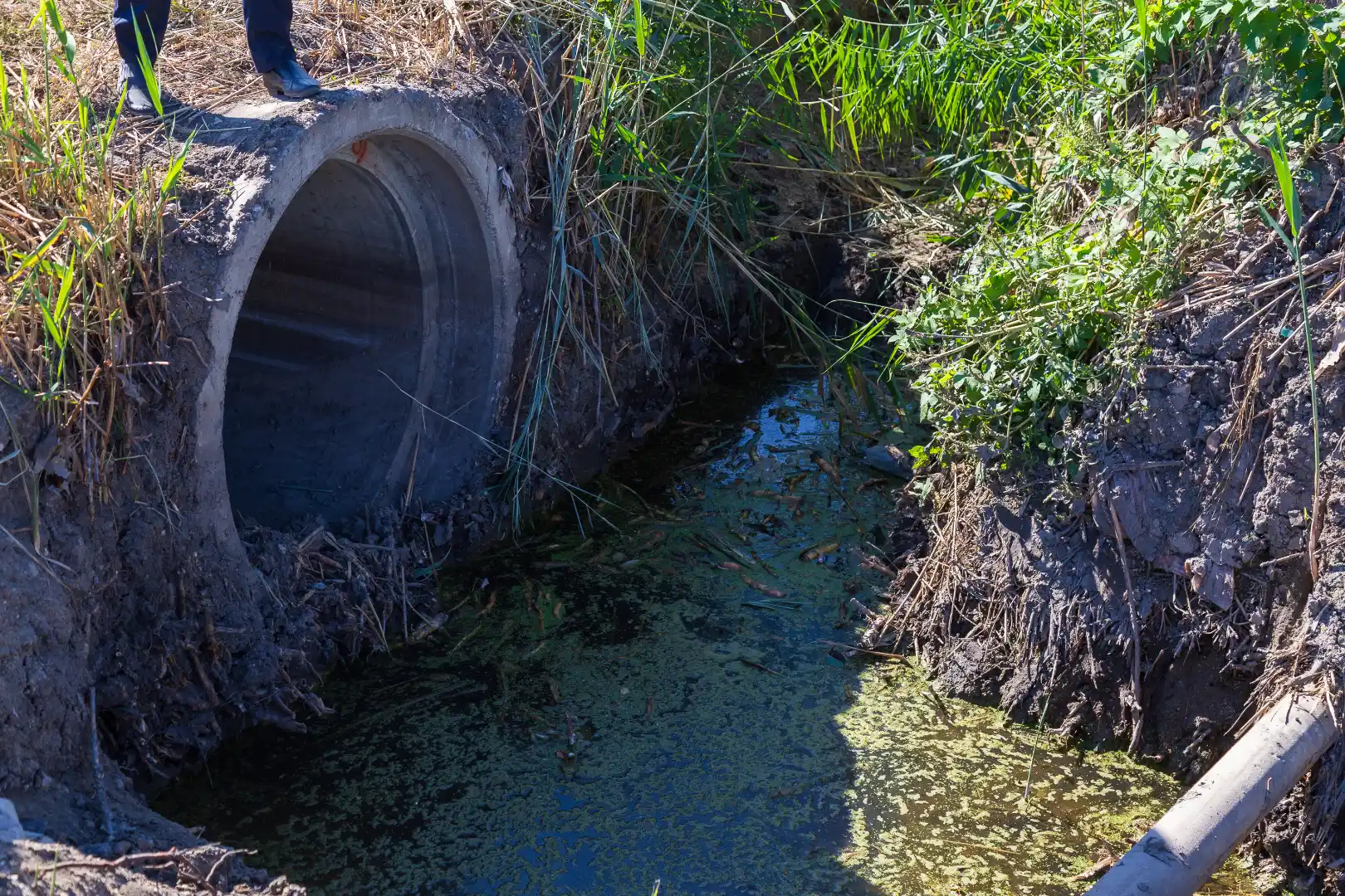 Complete drain cleaning Toronto professional guide methods